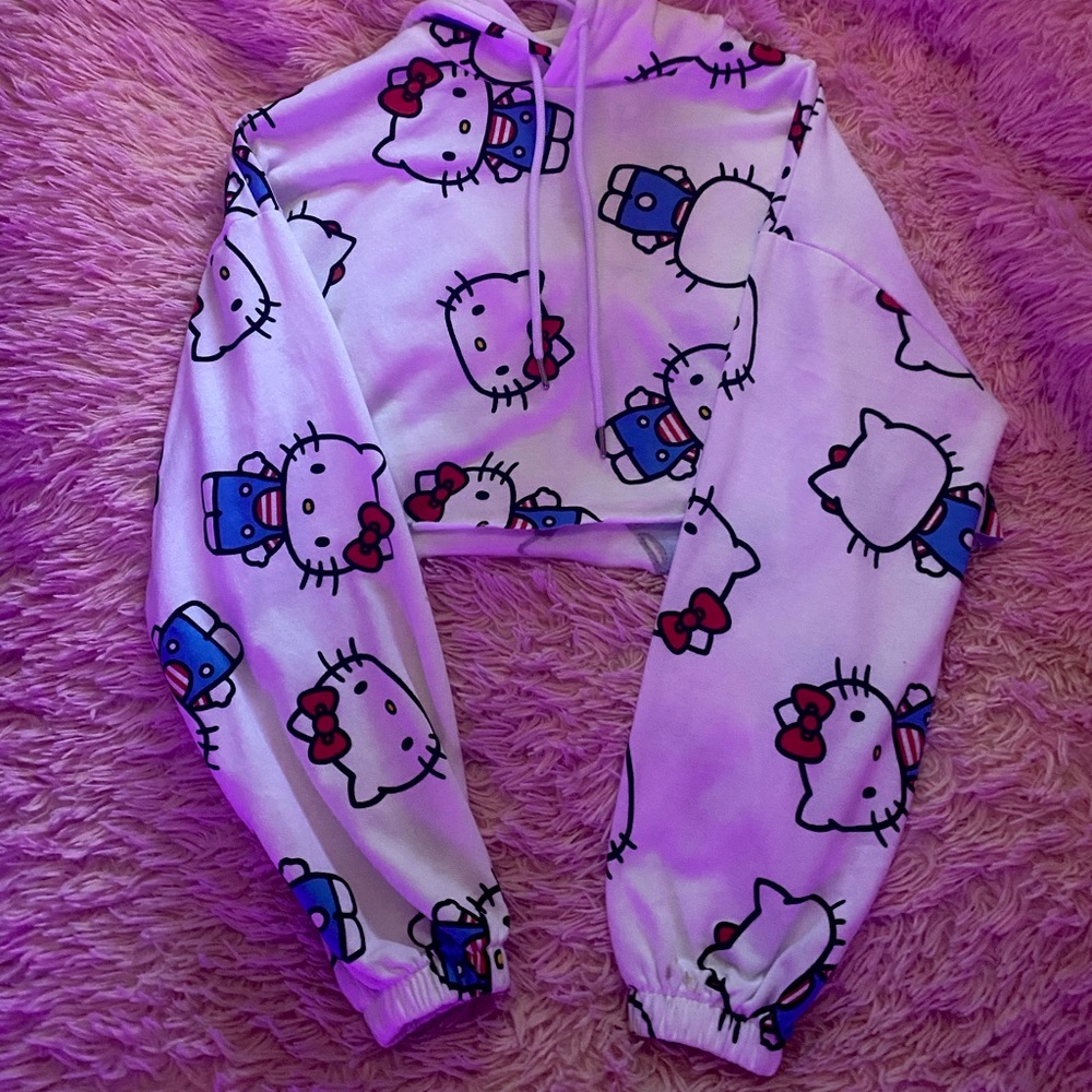 Assorted Cropped Pullover Hoodies